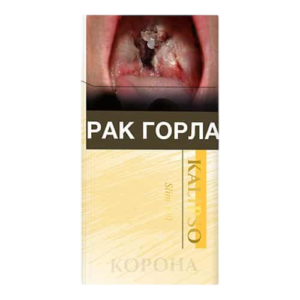 Kalipso Slim 100